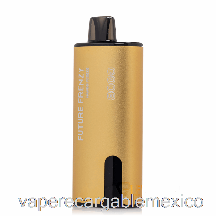 Vape Recargable Future Frenzy 8000 Desechable Mango Freeze